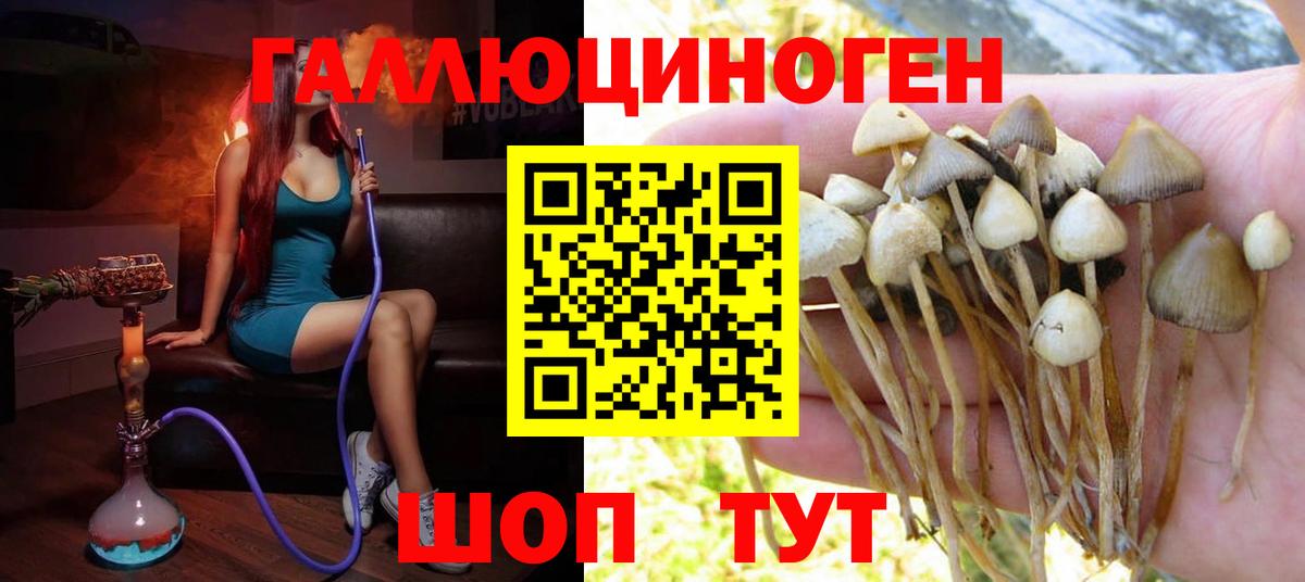 Галлюциногенные грибы Magic Shrooms Химки