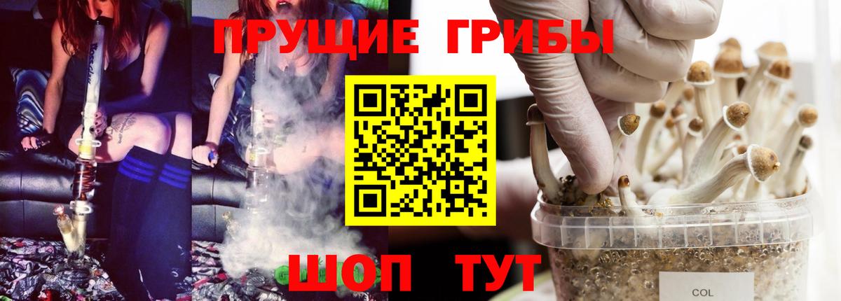 Псилоцибиновые грибы Cubensis  Вход с VPN  Химки 
