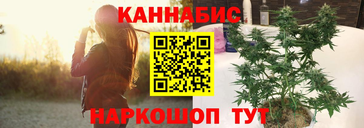 Бошки Шишки THC 21%  Вход с VPN  Каннабис Ganja  Марихуана конопля  Бошки Шишки OG Kush  Химки 